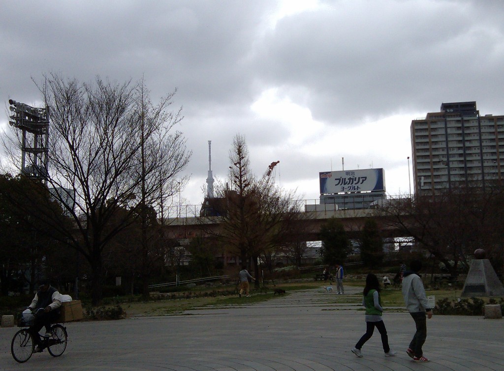 Sky Tree from Hamacho Park (Ningyocho).jpg