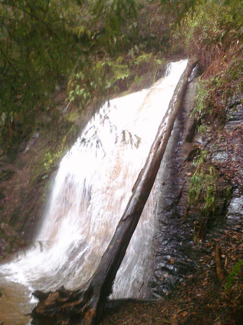 BigBasin_20101225_0017.jpg