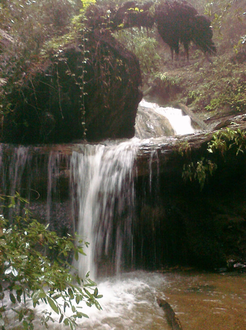 BigBasin_20101225_0024.jpg