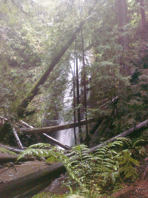 BigBasin_20101225_0030.jpg