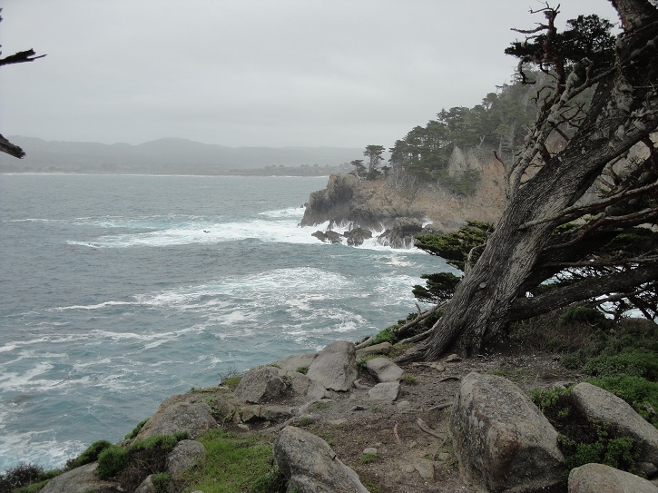 Point Lobos 05.jpg