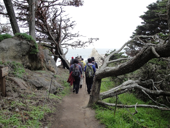 Point Lobos 06.jpg