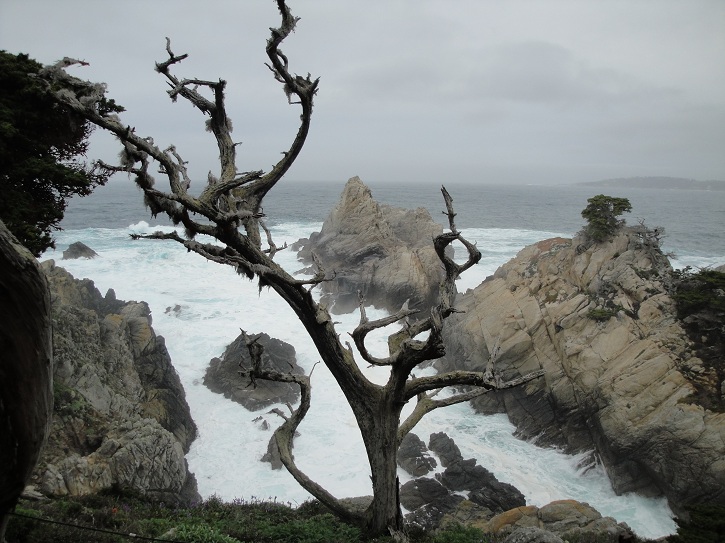 Point Lobos 07.jpg