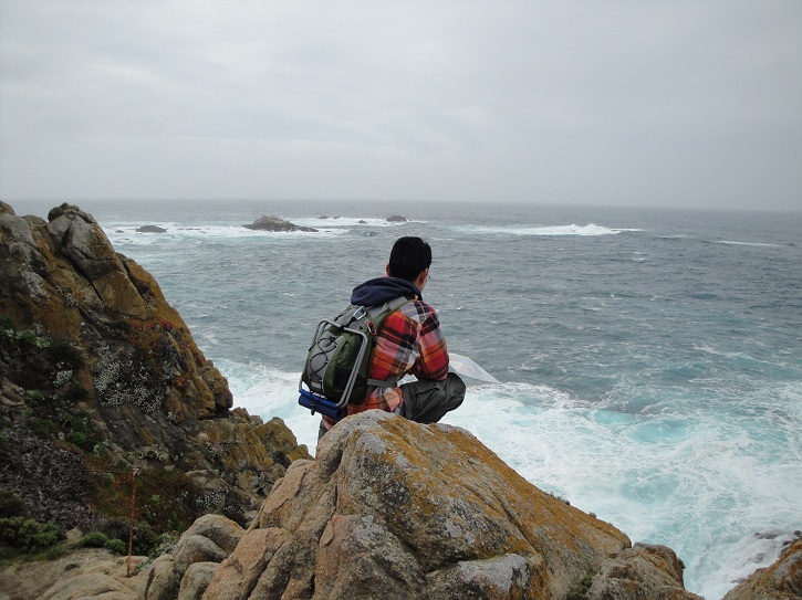 Point Lobos 09.jpg