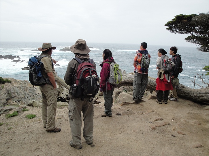 Point Lobos 11.jpg