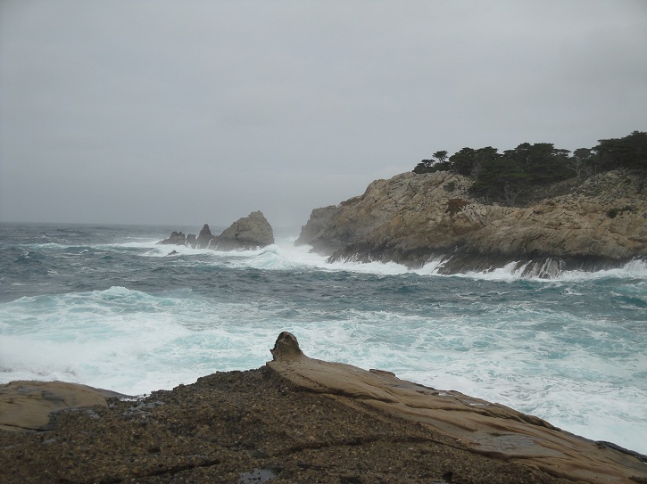 Point Lobos 13.jpg