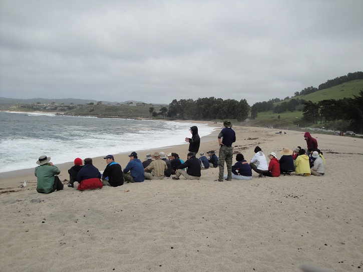 Point Lobos 26.jpg