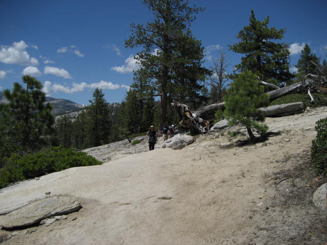 Yosemite_Falls 092.jpg