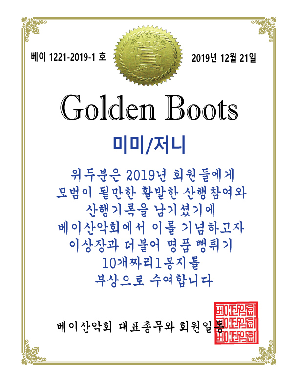 golden-boot------.jpg