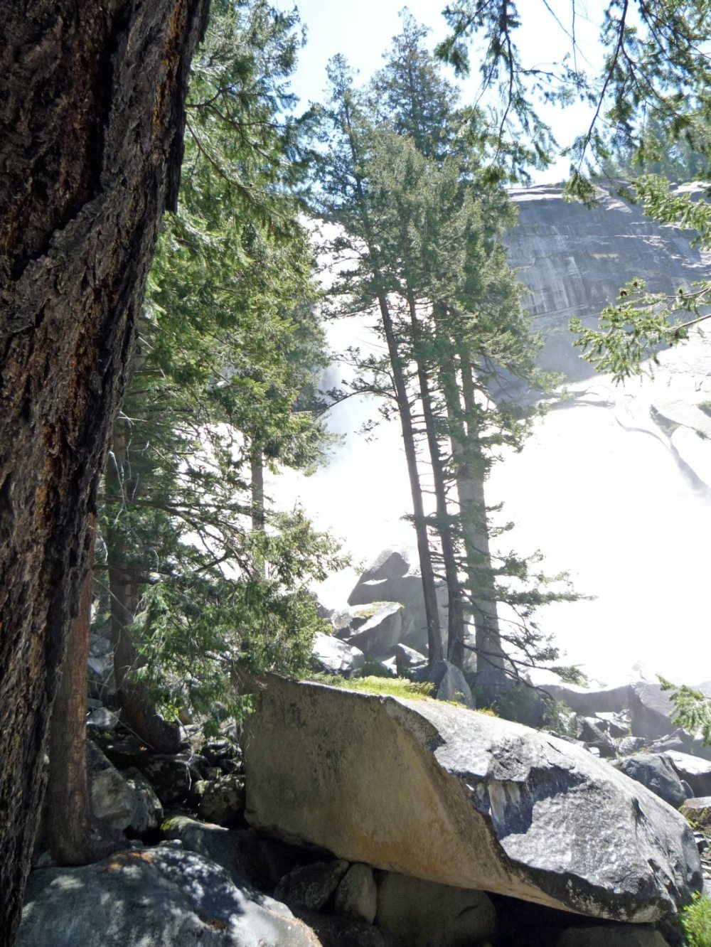 Yosemite.052409 (58).JPG